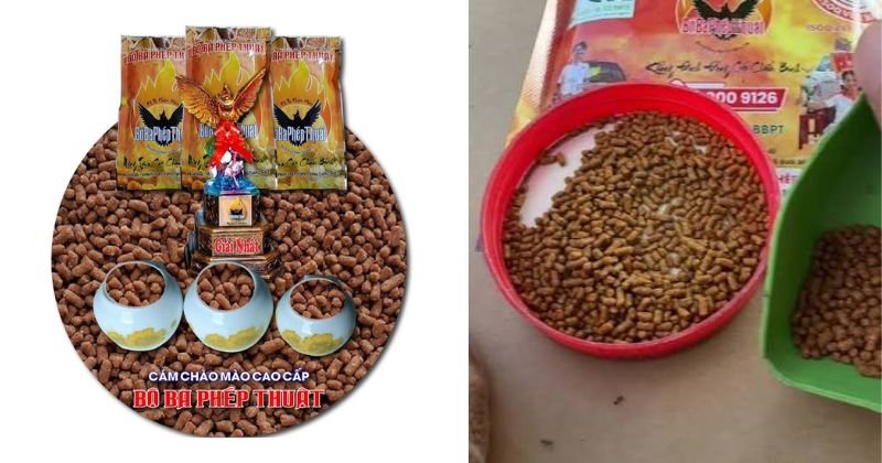 Cám bộ ba phép thuật dưỡng đấu