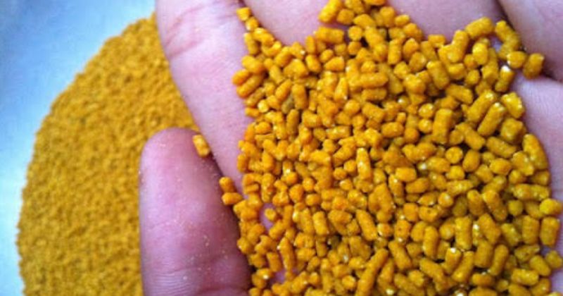 Giá cám bộ ba phép thuật thường dao động thế nào